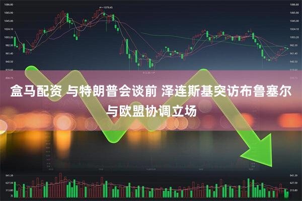 盒马配资 与特朗普会谈前 泽连斯基突访布鲁塞尔与欧盟协调立场