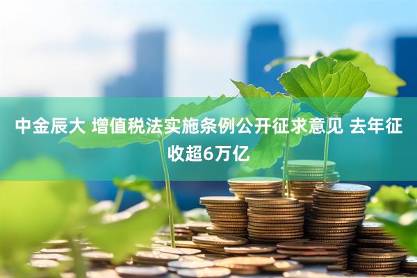 中金辰大 增值税法实施条例公开征求意见 去年征收超6万亿