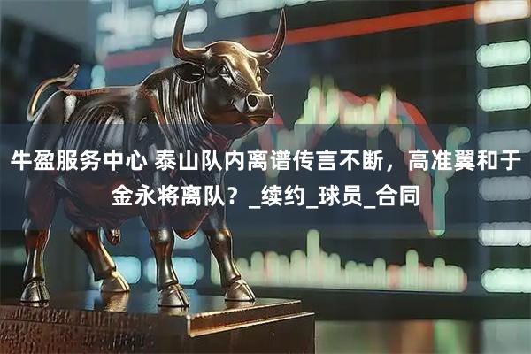 牛盈服务中心 泰山队内离谱传言不断，高准翼和于金永将离队？_续约_球员_合同