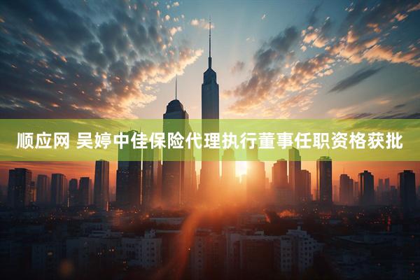 顺应网 吴婷中佳保险代理执行董事任职资格获批