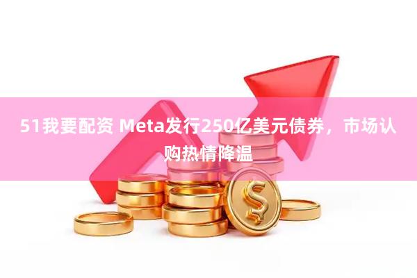 51我要配资 Meta发行250亿美元债券，市场认购热情降温